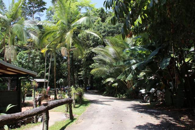Cape Tribulation Jungle Lodge