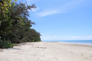 Go to CJs Bar & Grill, Cape Tribulation QLD