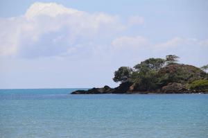Go to CJs Bar & Grill, Cape Tribulation QLD