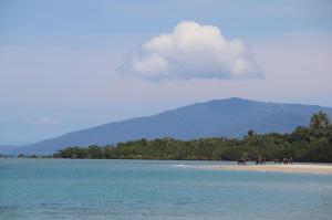 Go to CJs Bar & Grill, Cape Tribulation QLD