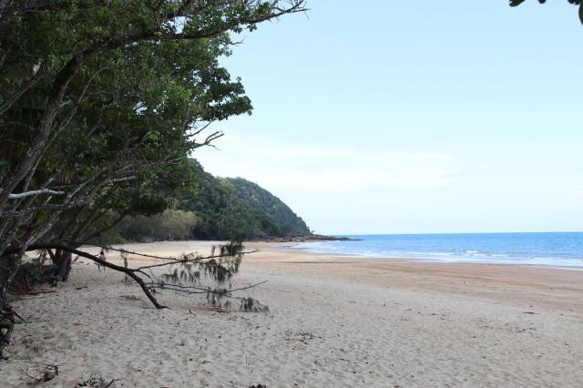 Cow Bay Beach