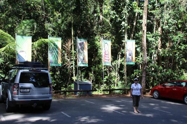 Daintree Discovery Centre