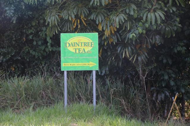Daintree Tea