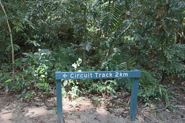 Mossman Gorge - Rainforest Circuit Track
