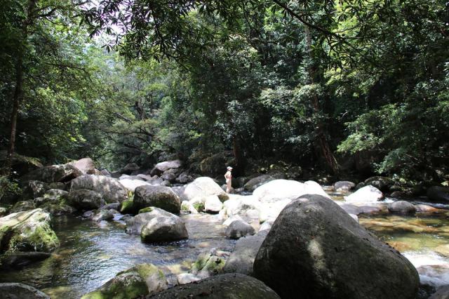 Mossman Gorge - Rainforest Swimming Hole 1