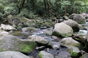Go to Mossman Gorge - Rainforest Swimming Hole 1, Mossman Gorge QLD