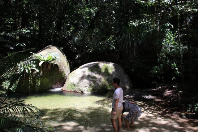 Mossman Gorge - Rainforest Swimming Hole 2
