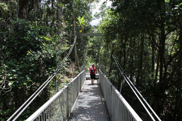 Mossman Gorge - Rex Creek Suspension Bridge