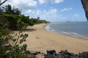 Go to Kurrimine Beach, QLD