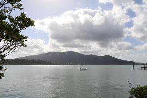 Go to Clump Point, Bingil Bay QLD