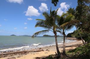 Go to Kennedy Walking Track, South Mission Beach QLD