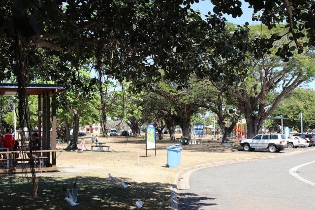 Lucinda Store Fish & Chips