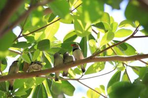 Go to Burdekin Cascades Caravan Park, Ayr QLD
