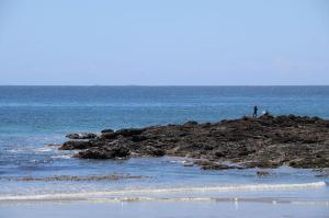 Go to Woolgoolga, NSW