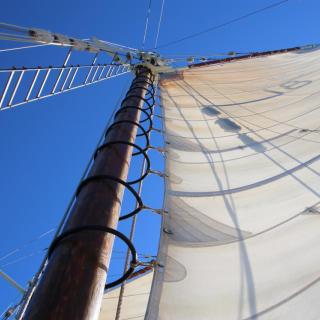 Derwent Hunter Tallship