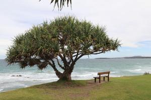 Go to Corindi Beach, NSW