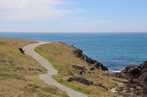 Go to Bonville Headland, Sawtell NSW