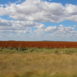 Gregory Developmental Road