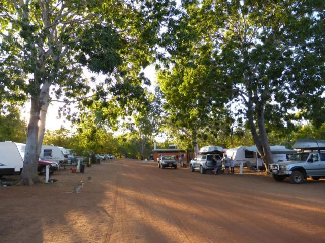 Mataranka Homestead Caravan Park