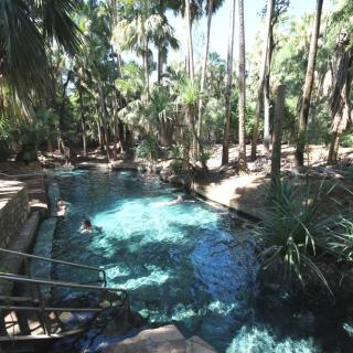 Rainbow Springs Thermal Pool