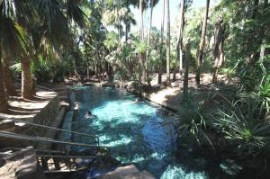 Go to Rainbow Springs Thermal Pool, Mataranka NT 