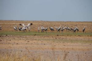 Go to Great Northern Hwy, WA 