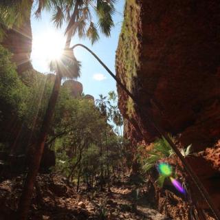 Echidna Chasm