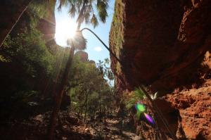 Go to Echidna Chasm, Bungle Bungles - Purnululu NP WA 