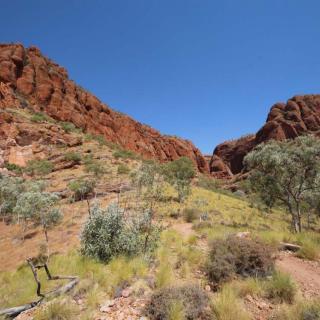 Osmond Range Lookout