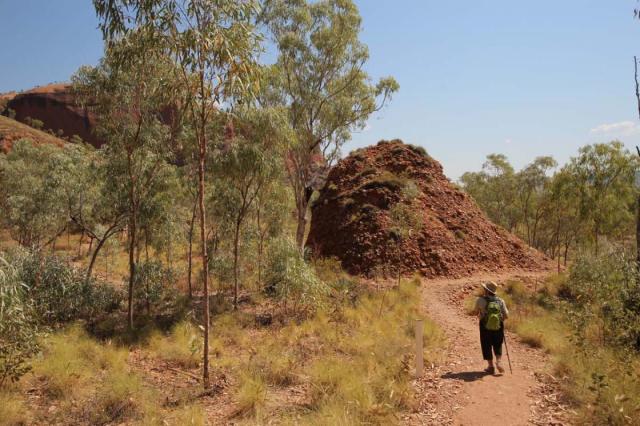 Osmond Range Lookout