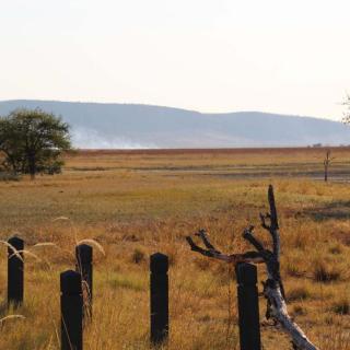 Parry Lagoons Nature Reserve - Marlgu Billabong