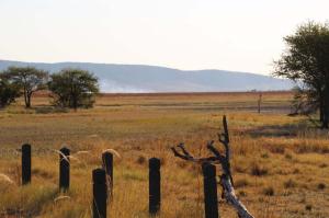 Go to Parry Lagoons Nature Reserve - Marlgu Billabong, WA 