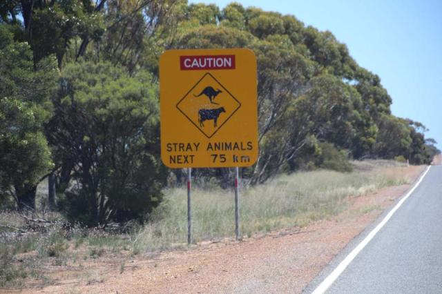 Coolgardie–esperance Hwy