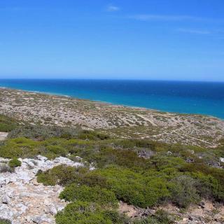 Nullarbor Lookout 3