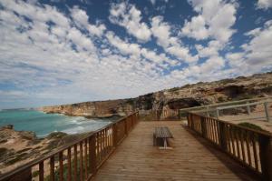 Go to Head of the Bight, SA 