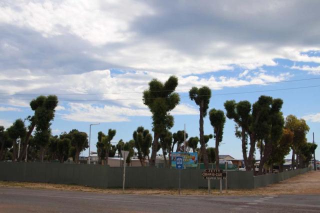 Smoky Bay Caravan Park