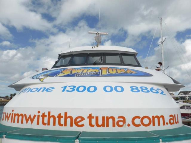 Swim with the tuna