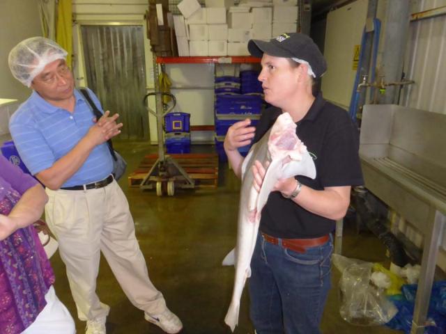 The Fresh Fish Place Tour