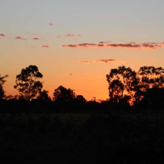 Nyngan Riverside Tourist Park