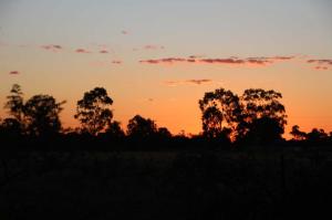 Go to Nyngan Riverside Tourist Park, Nyngan NSW