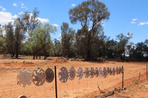 Go to Lilyvale Rest Area, Cobar NSW