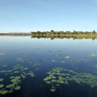Lake Kununurra