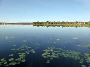 Go to Lake Kununurra, Kununurra WA 