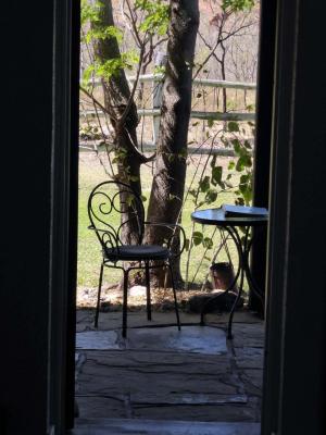 Go to Durack Homestead Museum, Kununurra WA 