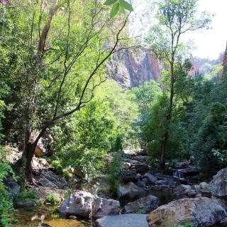 Ngamoowalem Conservation Park - Molly Spring