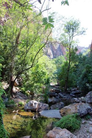 Go to Ngamoowalem Conservation Park - Molly Spring, Kununurra WA 