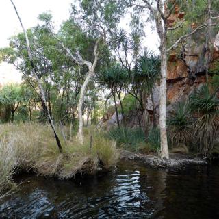 Ngamoowalem Conservation Park - Molly Spring