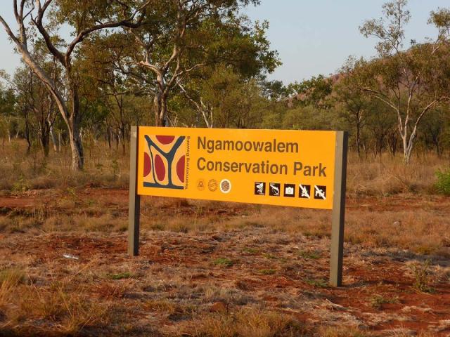 Ngamoowalem Conservation Park - Molly Spring