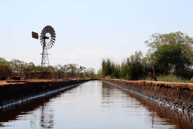 The Longest Cattle Trough