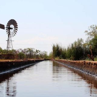 The Longest Cattle Trough